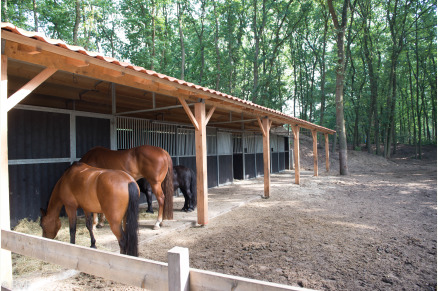 Overnachten met je paard op Sandberghe in de Maashorst VMP136